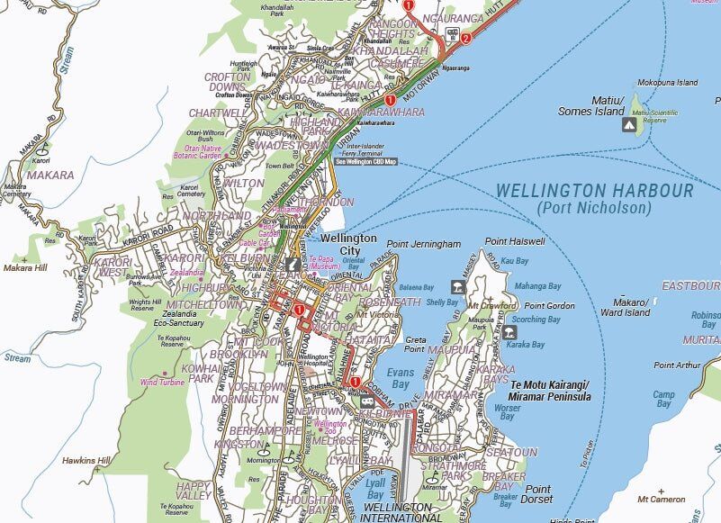 Close-up of the Hema Wellington suburbs map showing Wellington Harbour and the city